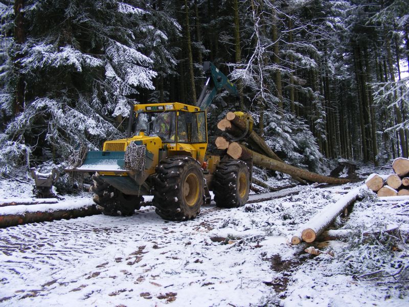 Ein HSM Forstspezialschlepper beim Holzrücken im Gemeindewald von Zell a. H. (Bild: Oestreich und Fa. Springmann).
